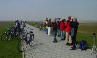 03Langeoog060416-Schloppteich052 ger.JPG