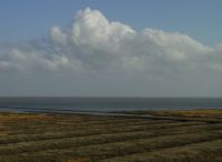 08Langeoog060417-Seedeich118 ger.JPG