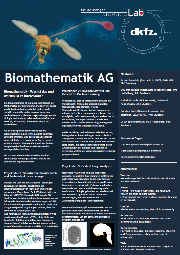 tl_files/arbeitsgemeinschaften/biomathematik/biomathe.PNG
