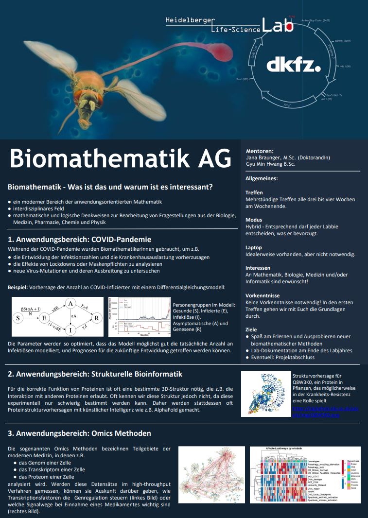 tl_files/arbeitsgemeinschaften/biomathematik/biomathe23.JPG