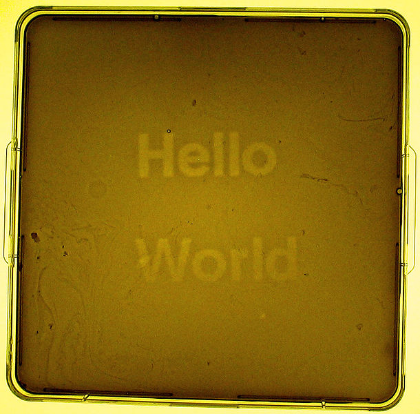 tl_files/arbeitsgemeinschaften/synbiologie/SynBiologie (int)/610px-UT_HelloWorld.jpg