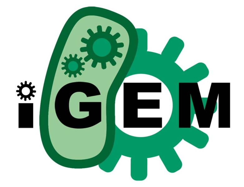 tl_files/arbeitsgemeinschaften/synbiologie/SynBiologie (int)/IGEM_logo_big.jpg